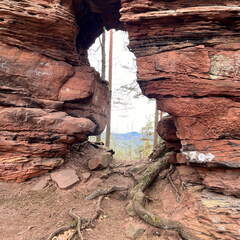 24-03-01 13-06-42 8870